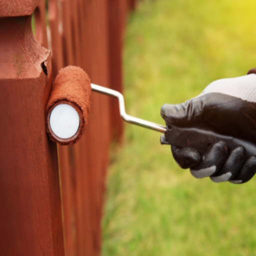 Exterior Fence Painting