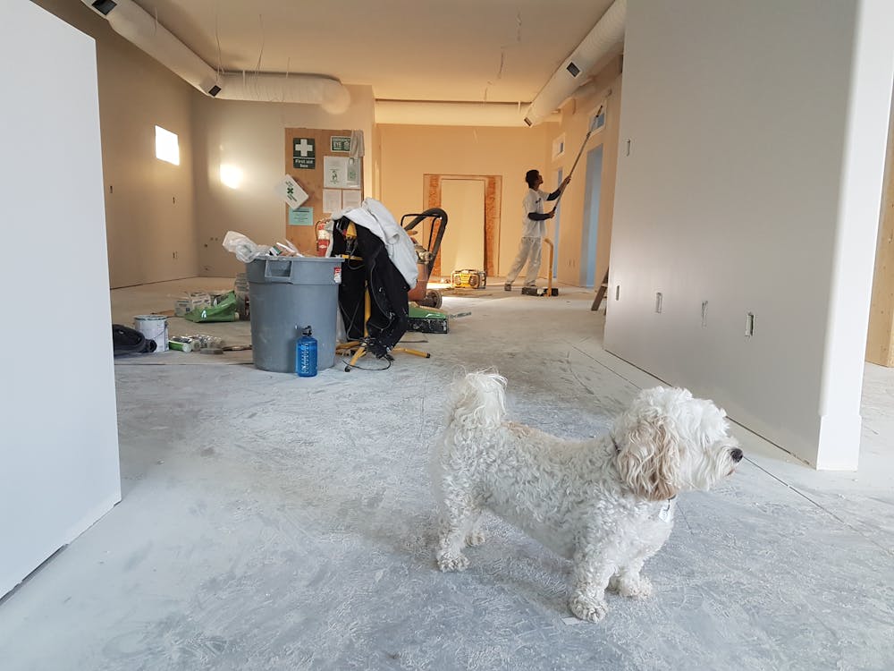 Remodeling Service